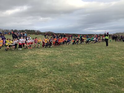 Image of Cumbria County Cross Country Championships (Hunter Hall, Penrith)