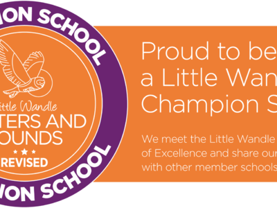 Image of We are a Little Wandle Champion School!