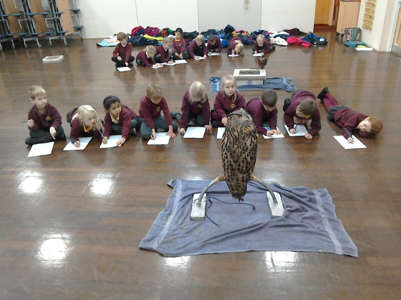 Image of Time flies as Silverband Falconry visit year 1!