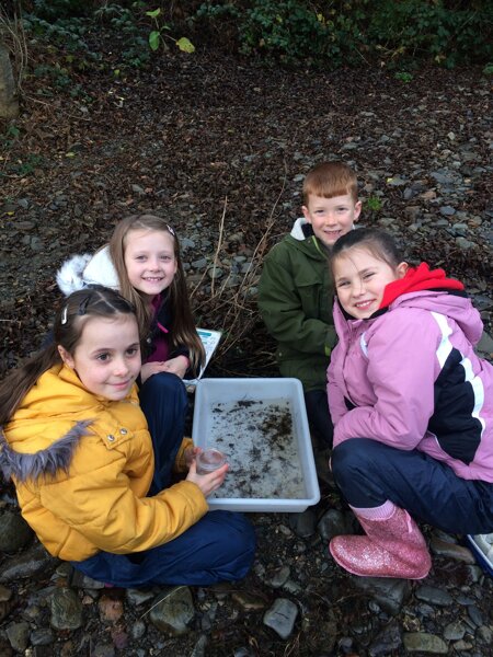 Image of Year 4: River Fieldwork!