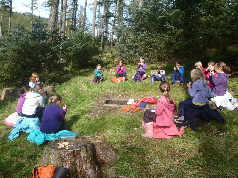 Image of Outdoor Learning!